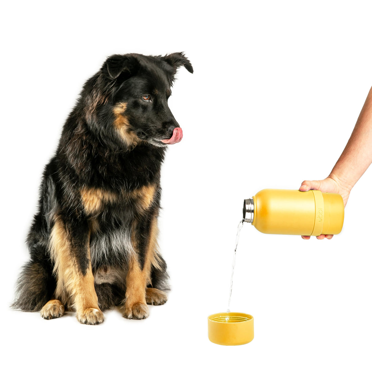 Ubbi Pup & Me Stainless Steel Insulated Portable 32 oz. Water Bottle for Dogs and Owners with Attached Dog Bowl, Yellow