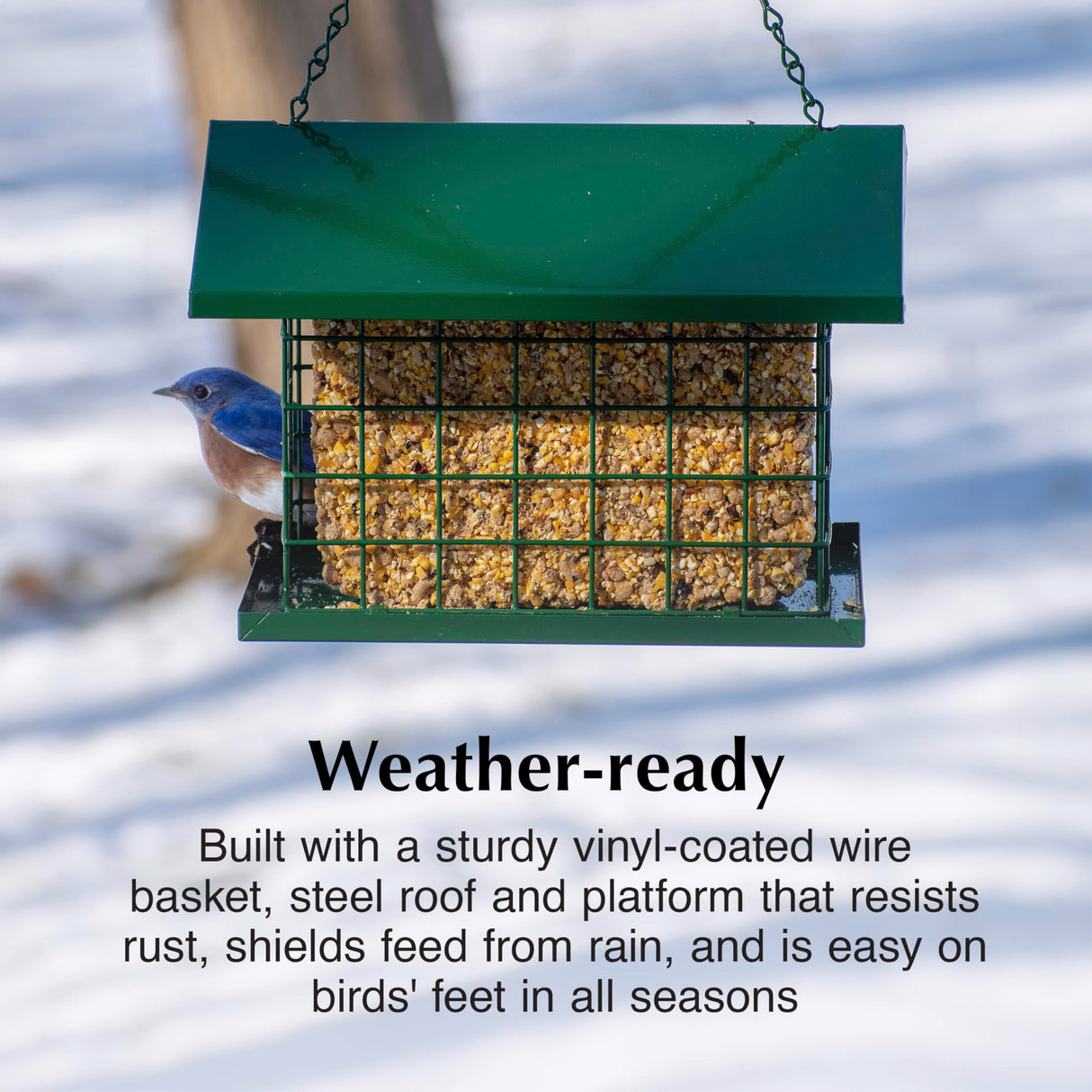 C&S EZ Fill Deluxe Suet and Snak Feeder with Roof & Platform, Suet Feeder for Wild Birds, Holds one 56 ounce suet cake