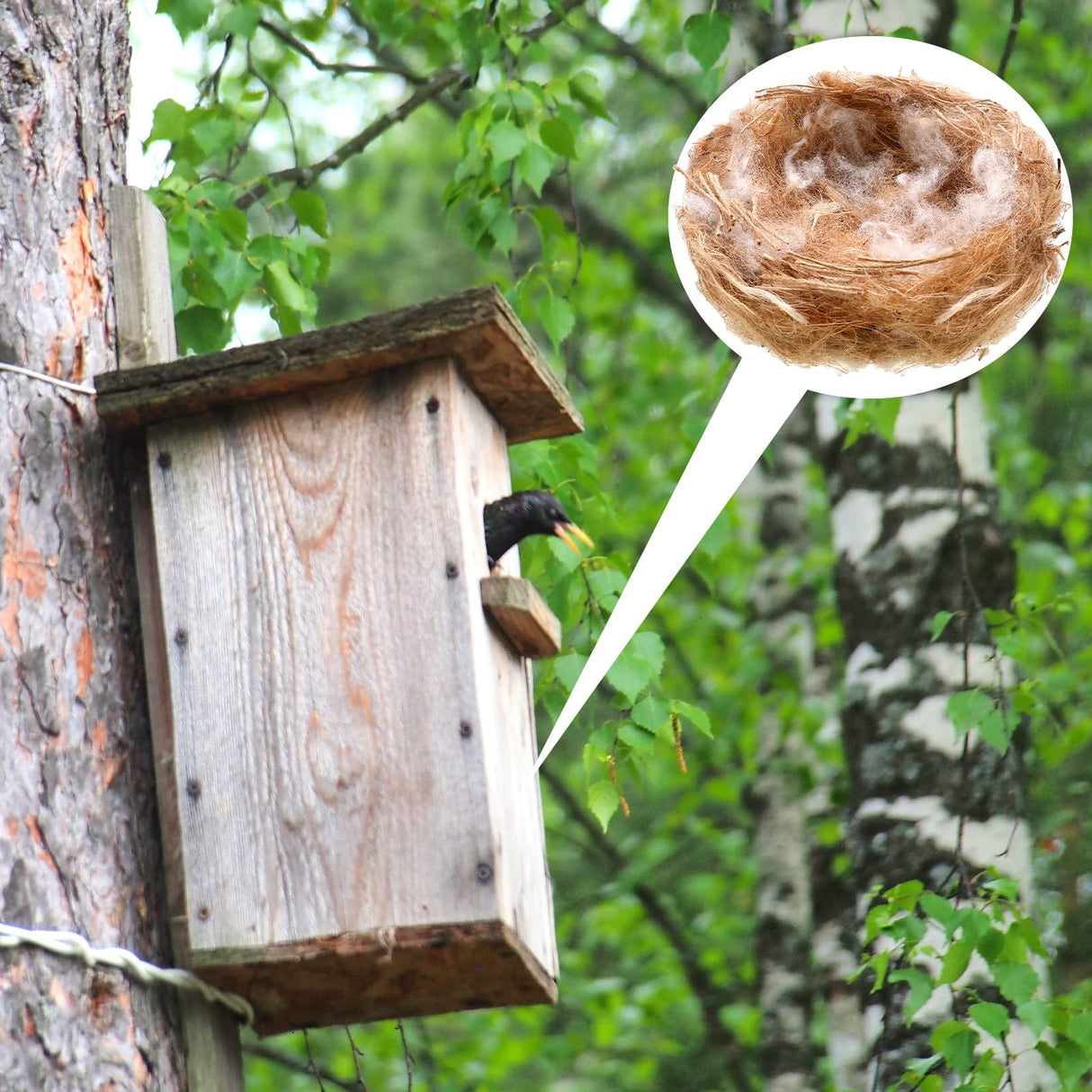 Amyhill 120g/4.23 oz Bird Nesting Materials Mixing Parakeet Nest Material Finch Bird Bedding Hideouts for Canary Coconut for Tree Trunks Cages Garden Yard Home Party Easter Decor