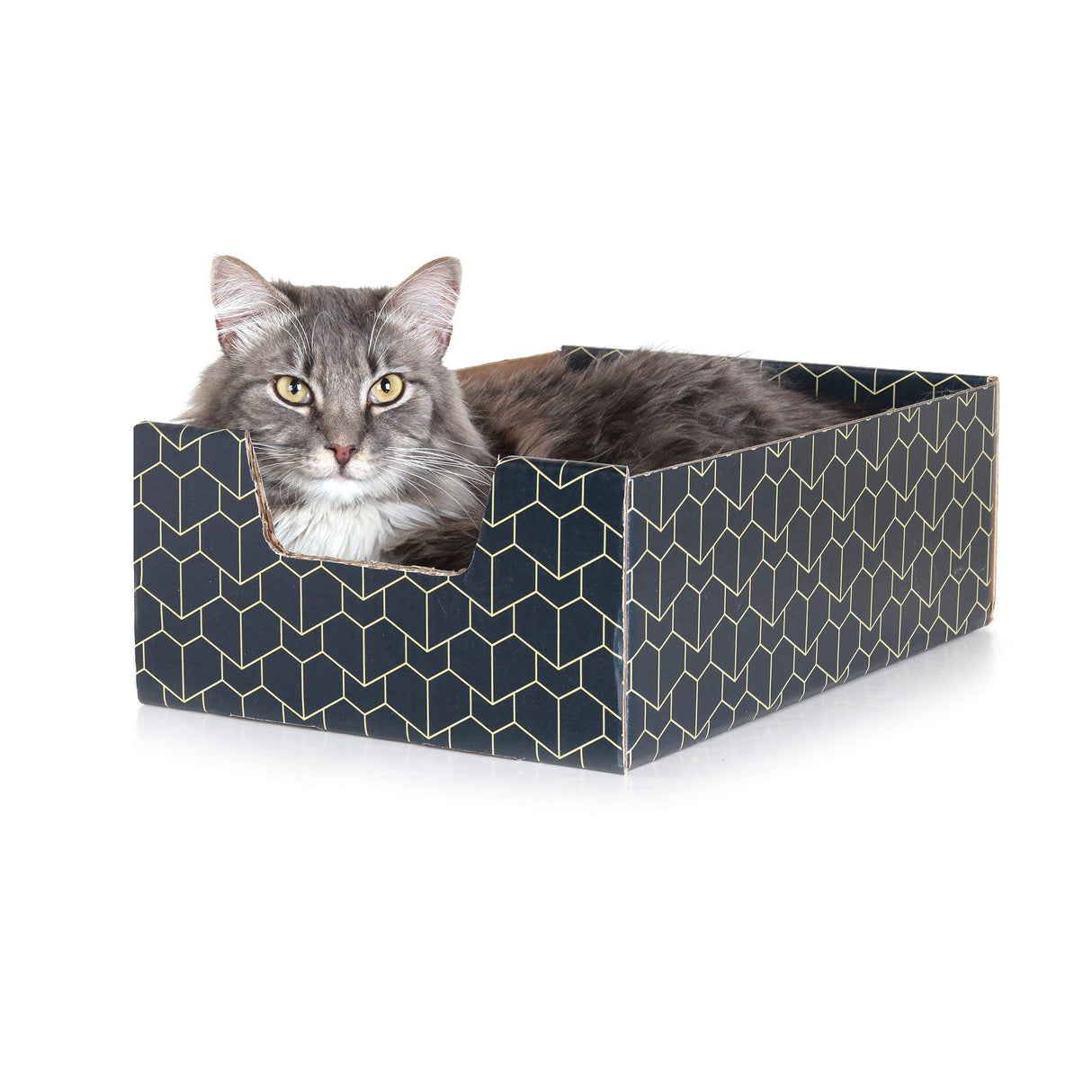 Purrfect Cat Box Modern Cat Box Lounger with Peek-a-Boo Cutout | Premium Corrugated Cardboard Cat Bed for Sleeping and Relaxation | Interactive Board Box for Indoor Kittens and Small Pets, Blue