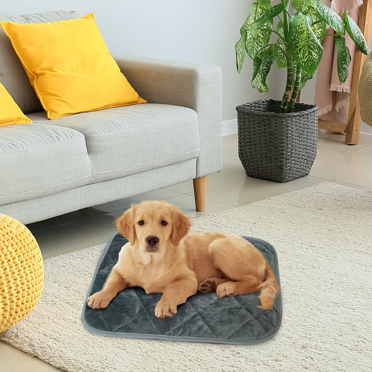 AUPETEK Self-Warming Cat Bed Indoor/Outdoor Super Soft Self Heating Pet Mat Washable Thermal Pad for Cat & Dog 21x15.7 inch