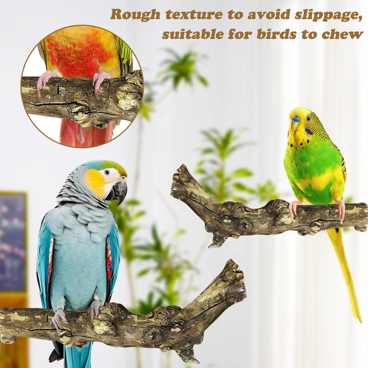 PINVNBY 3 Sizes Natural Bird Perches Wooden Parakeet Perches Bird Perches for Cage Parrot Chewing Stick Paw Grinding Exercise Training Bird Cage Accessories for Budgies Conures Cockatiels Lovebirds