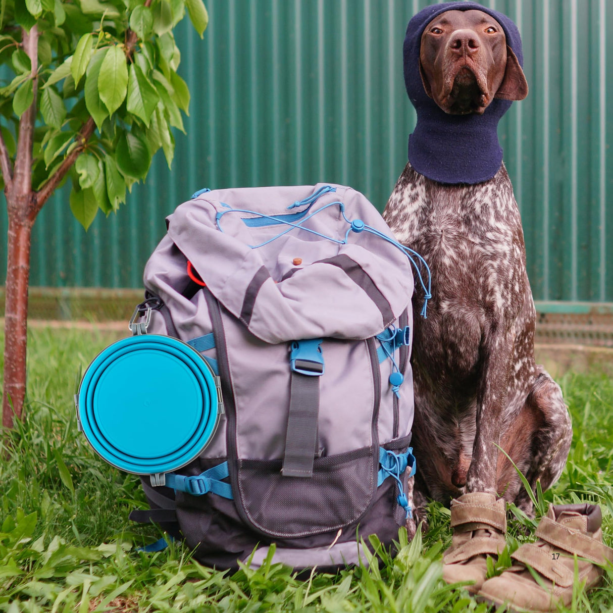 Loving Pets Bella Roma Collapsible Dog Bowls - Silicone Dog Bowls, Foldable Bowl, Puppy Essentials & Hiking Pet Supplies Great for Home & Travel (Blue, Small)