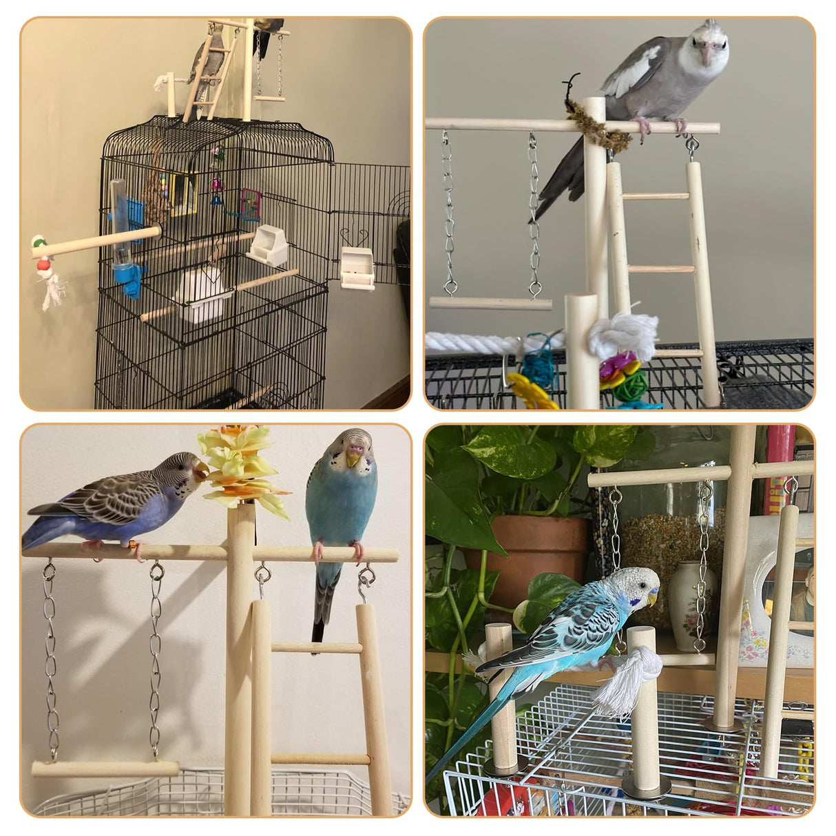 PINVNBY Bird Playground, Wood Parrot Play Gym Stand Perch Bird Cage Accessories for Small and Medium Parakeet Cockatiel Conure Love Birds Finch