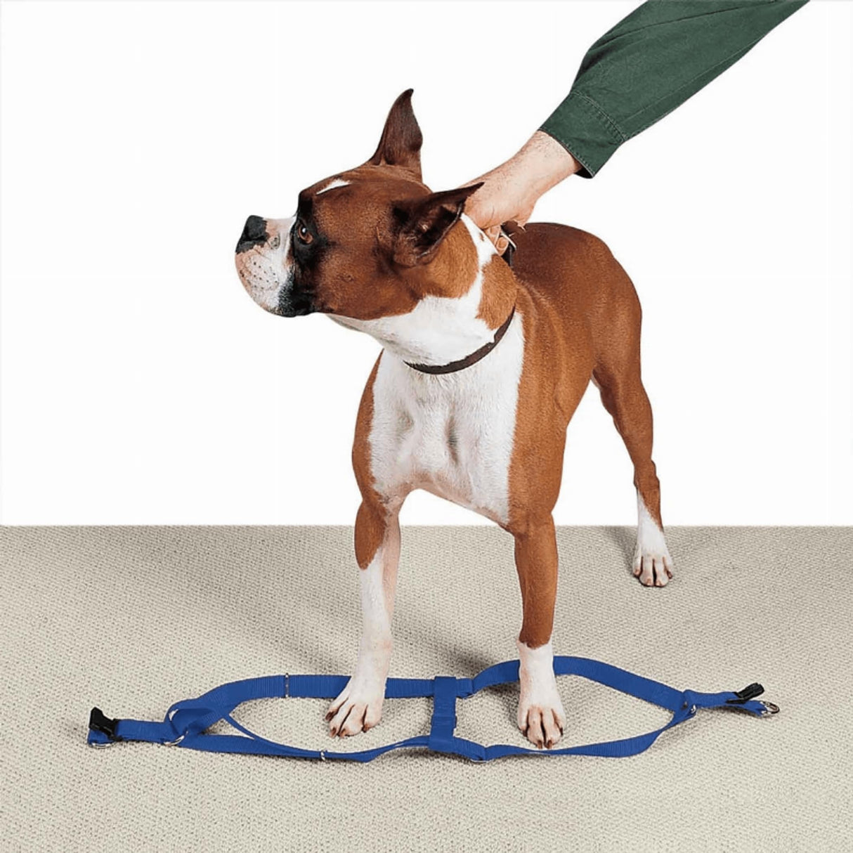 Guardian Gear 2 Step Pet Harness