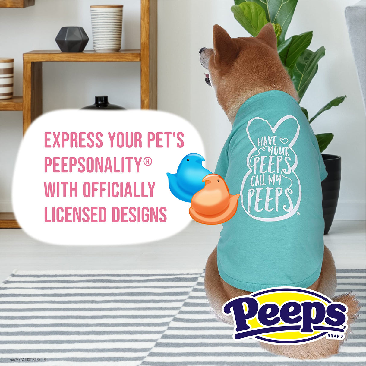 Peeps for Pets Call My Peeps Dog T Shirt - Teal Blue Dog T Shirt for Dogs Soft and Comfortable Machine Washable Dog Shirt - Officially Licensed Peeps Pet Dog Clothing,FF16040