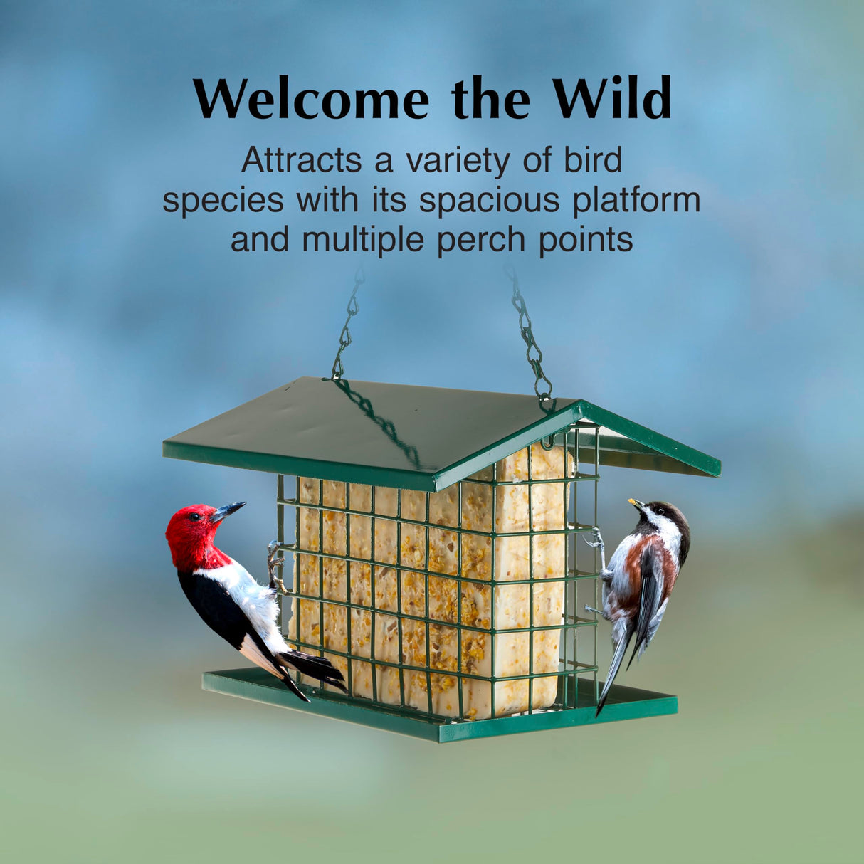 C&S EZ Fill Deluxe Suet and Snak Feeder with Roof & Platform, Suet Feeder for Wild Birds, Holds one 56 ounce suet cake