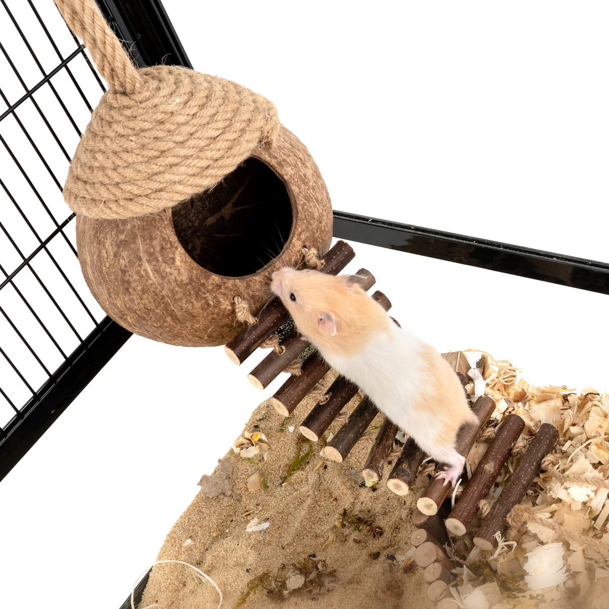 andwe Coconut Bird Nest Hut with Ladder for Parrots Parakeet Conures Cockatiel - Small Animals House Pet Cage Habitats Decor