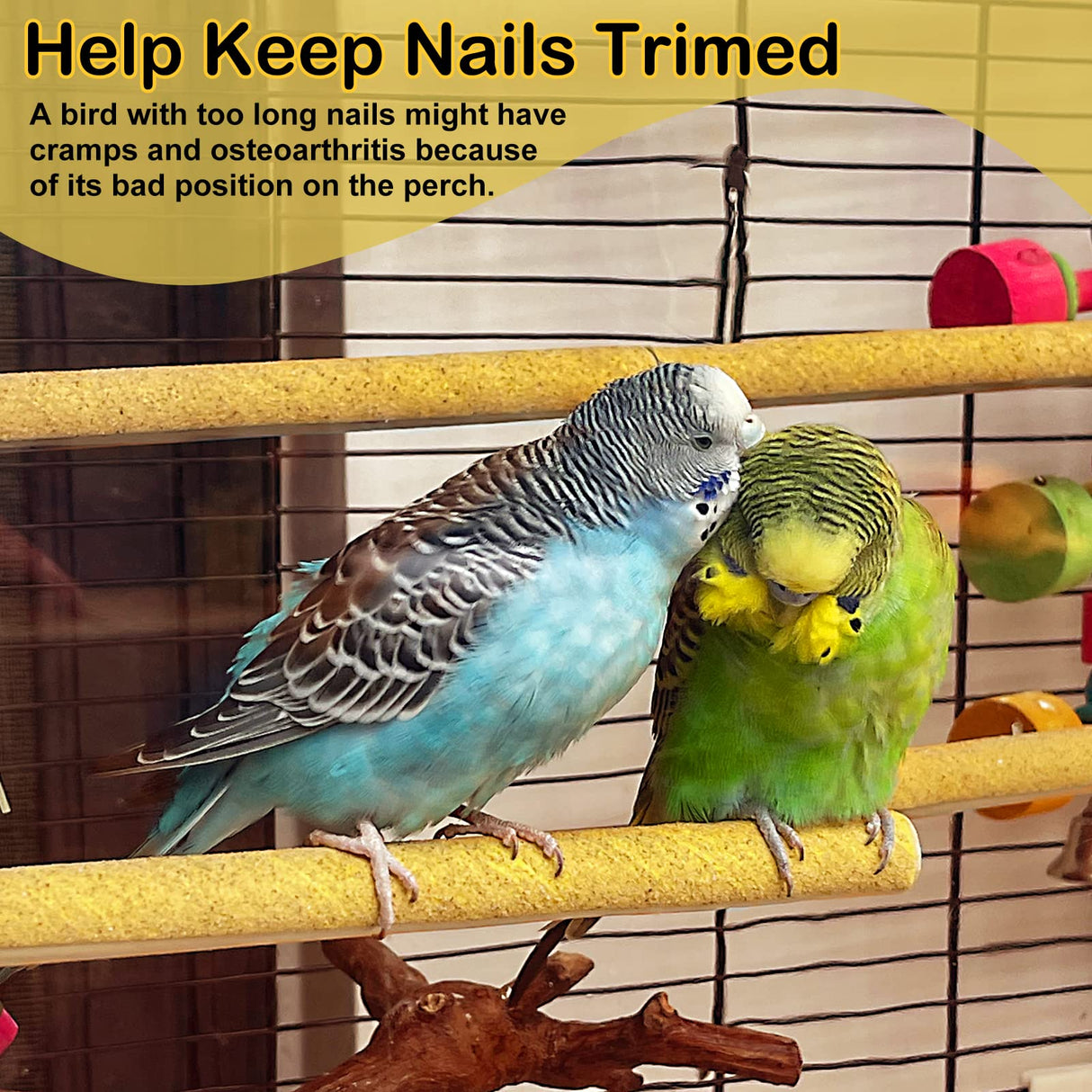 S&X Sanded Perch Covers for Parakeets, Lovebirds, Parrotlets, Finches, Canaries, Large Perch Covers 3/4" Diameter X 9" Long, 3-Pack