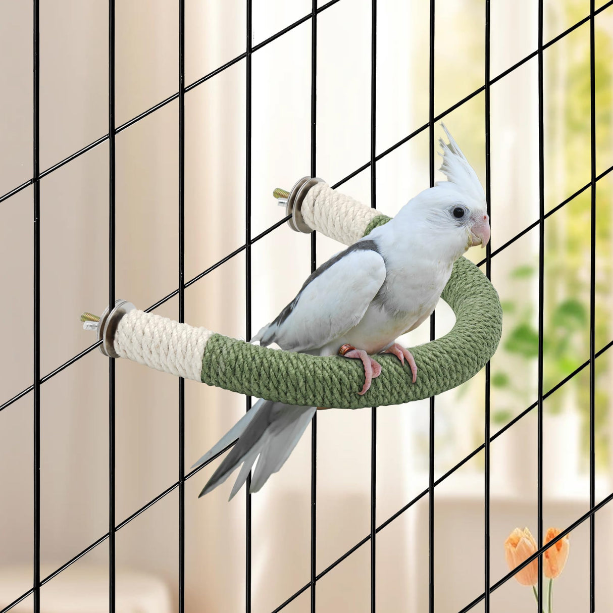 DVHEY Bird Stand Perch U Shape Hemp Rope Green Wood Parrot Perches for Small Birds,Parakeets Macaw Cockatiels Conures Love Birds Finches,Bird Training Educational Stand Toys (Small,1 Pack)