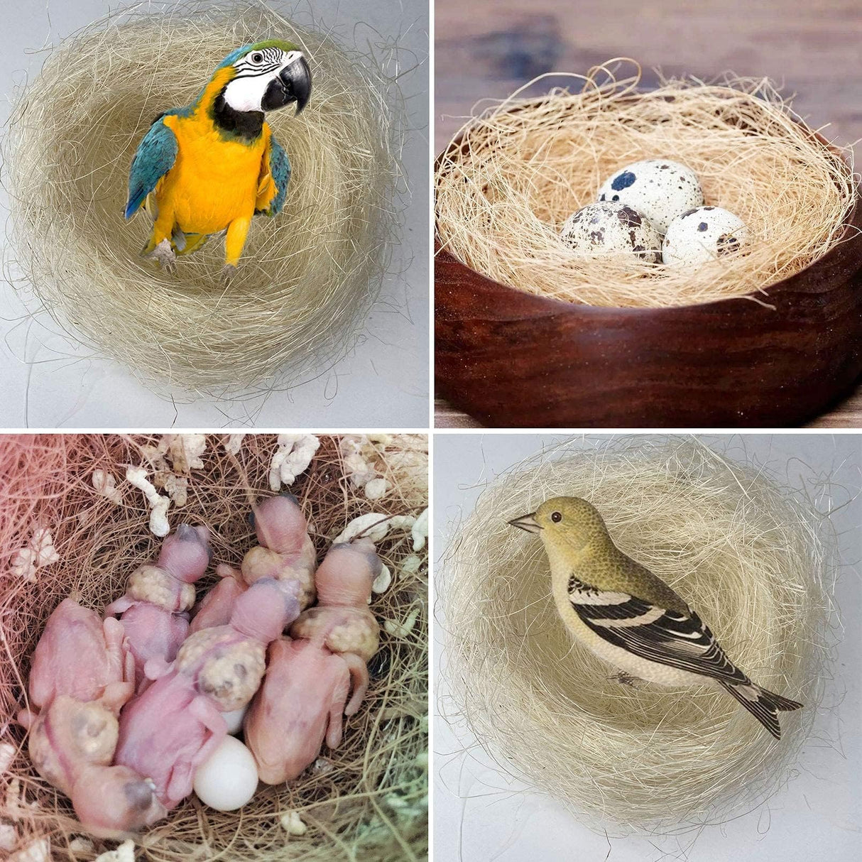 kathson Bird Nesting Materials Coconut Fiber Bird Nest Bedding Material Warm and Breathable Linen Silk for Bird Small Animals (6 Pack)