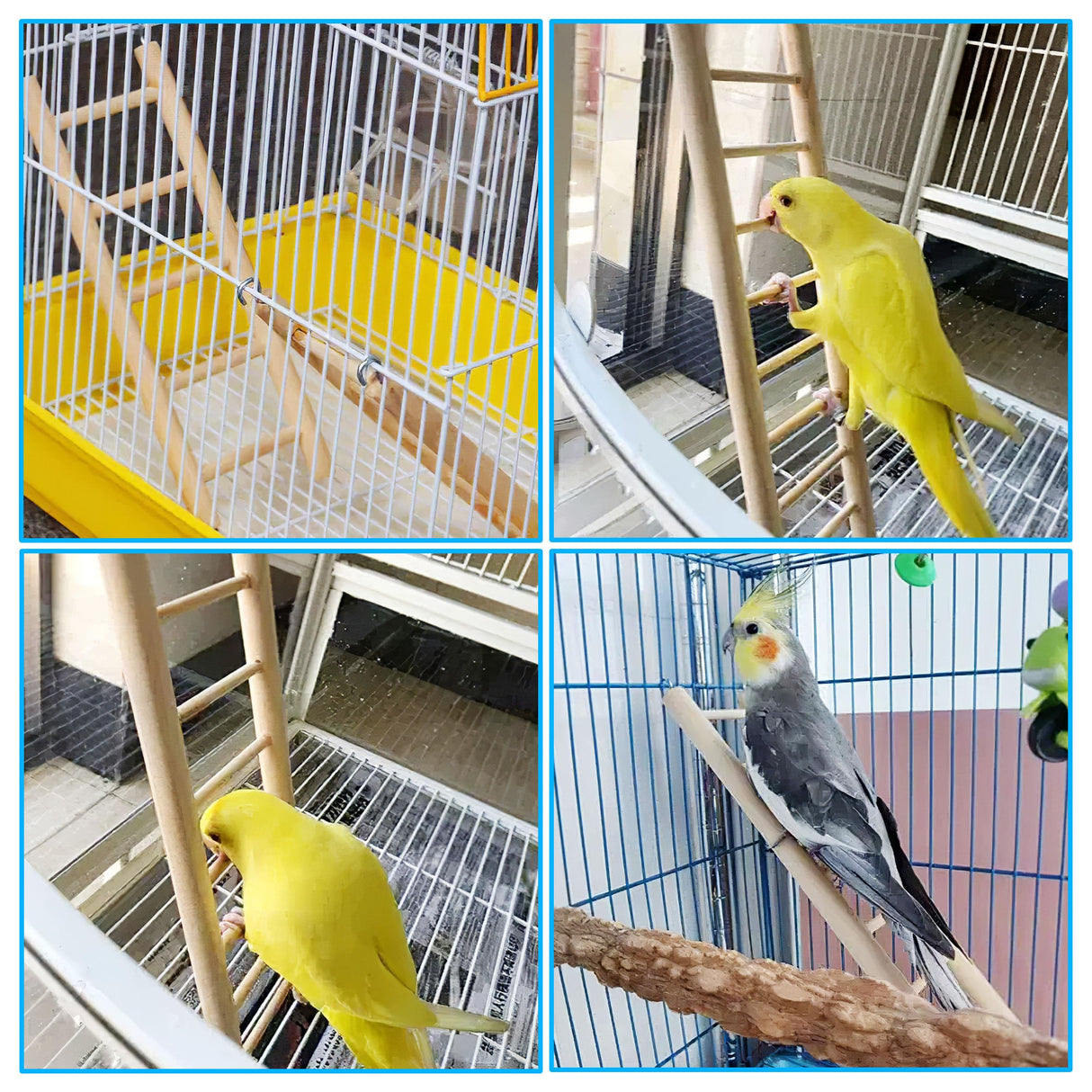 YHNTGB 5pcs Wooden Bird Ladder for Parrots Cage 5 Basic Sizes Perch Parakeet Climbing Toys Hanging Pet Natural Step Cockatoo Lovebirds