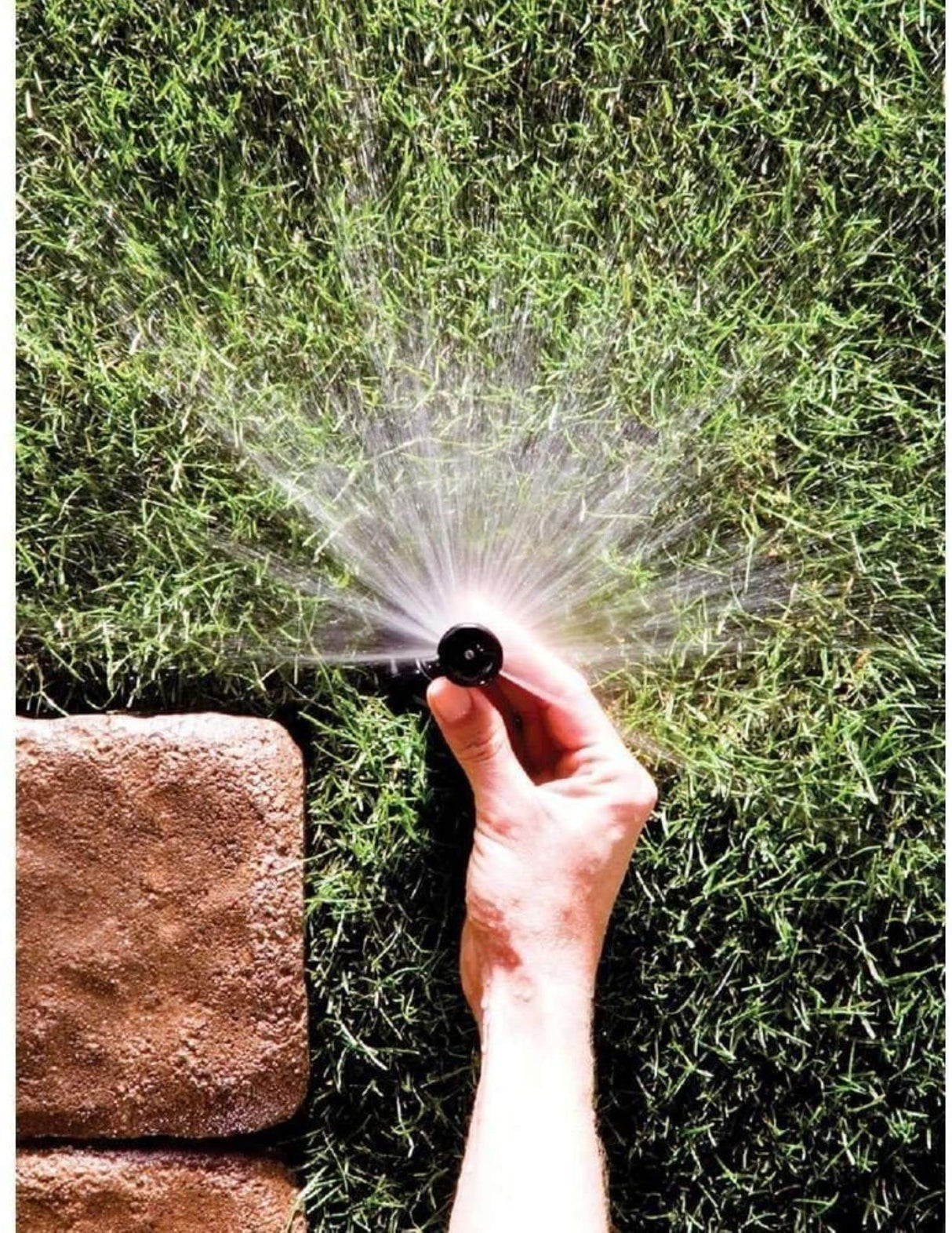 Rain Bird 1806AP Professional Pop-Up Sprinkler, Adjustable 0° - 360° Pattern, 8' - 15' Spray Distance, 6" Pop-up Height