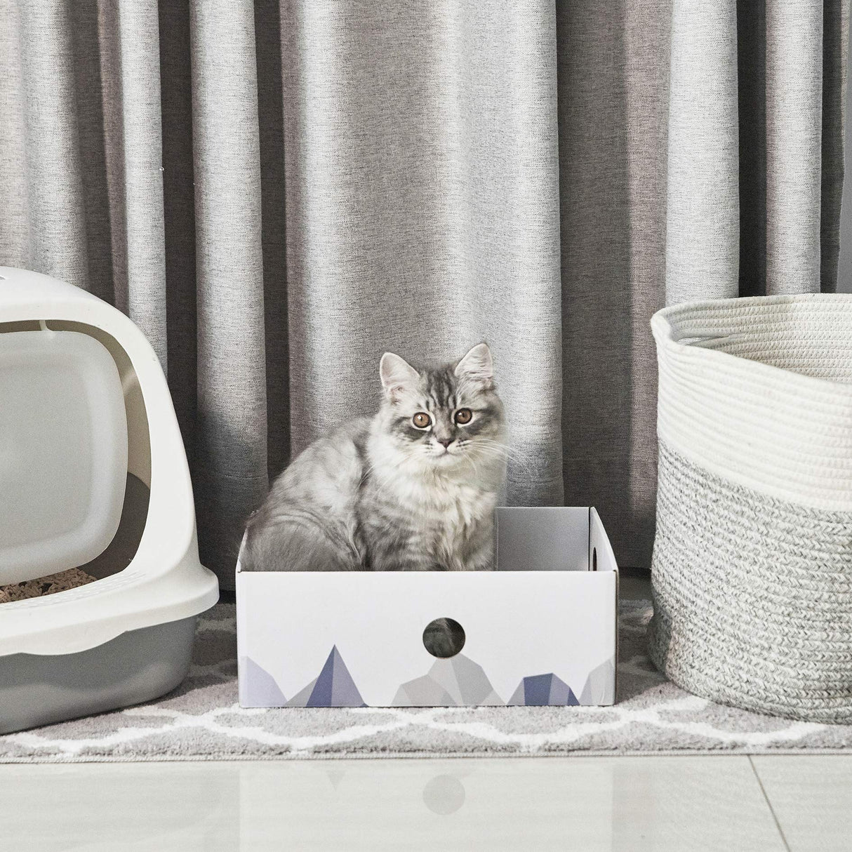 Conlun Cat Scratcher Box with Heavy-Duty Double-Sided Cardboard Pad, Cardboard Lounger, Interactive Hole Design, Cat Bed for Indoor Cats, White, Large