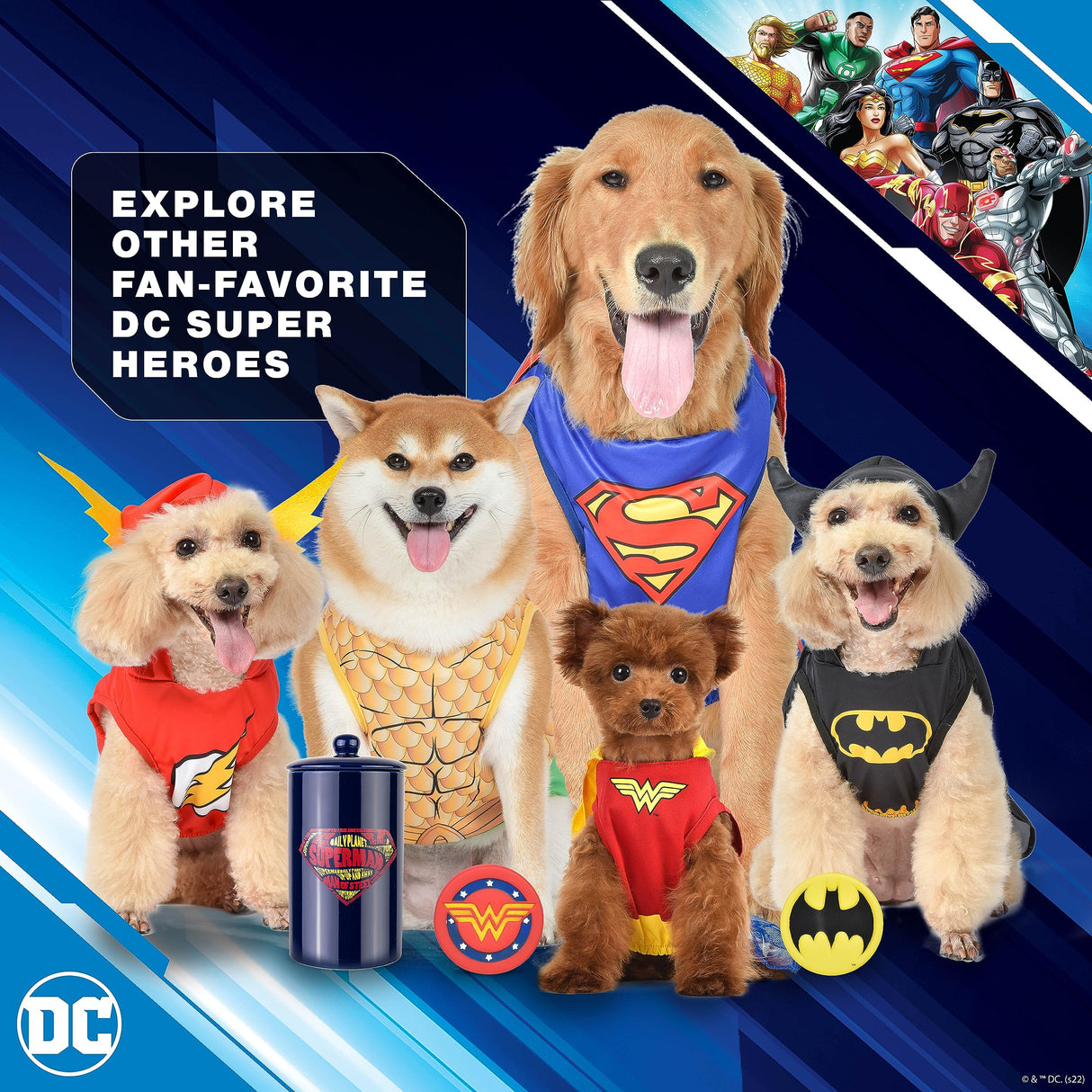 DC Comics Batman Dog Costume, Size Extra Small | Best DC Comics Batman Halloween Costume for Small Dogs | Funny Dog Costumes | Official Batman Costume for Pets Halloween