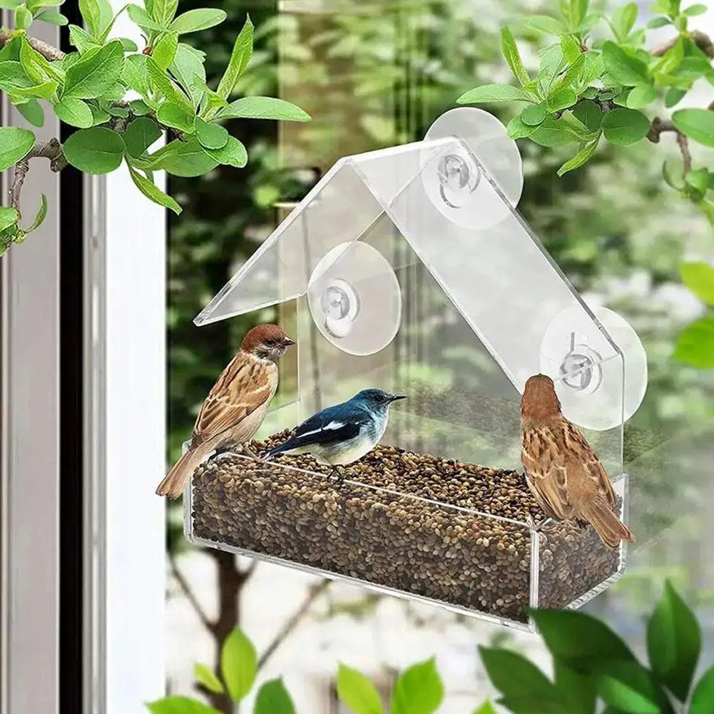 Acrylic Transparent Bird Feeder with Suction Cup