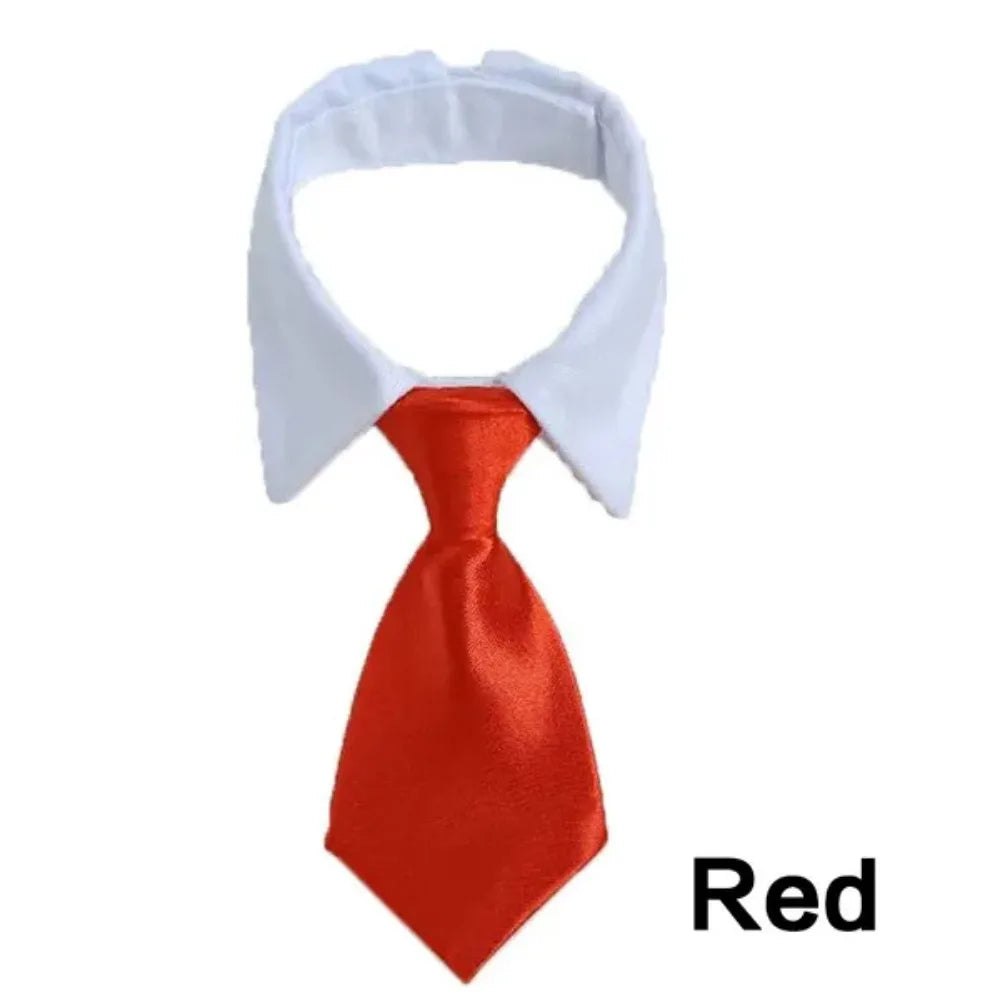Formal Necktie Collar