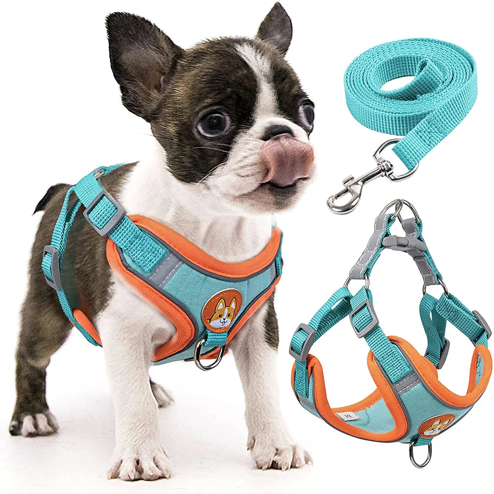 Reflective Dog Harness for Small Dogs