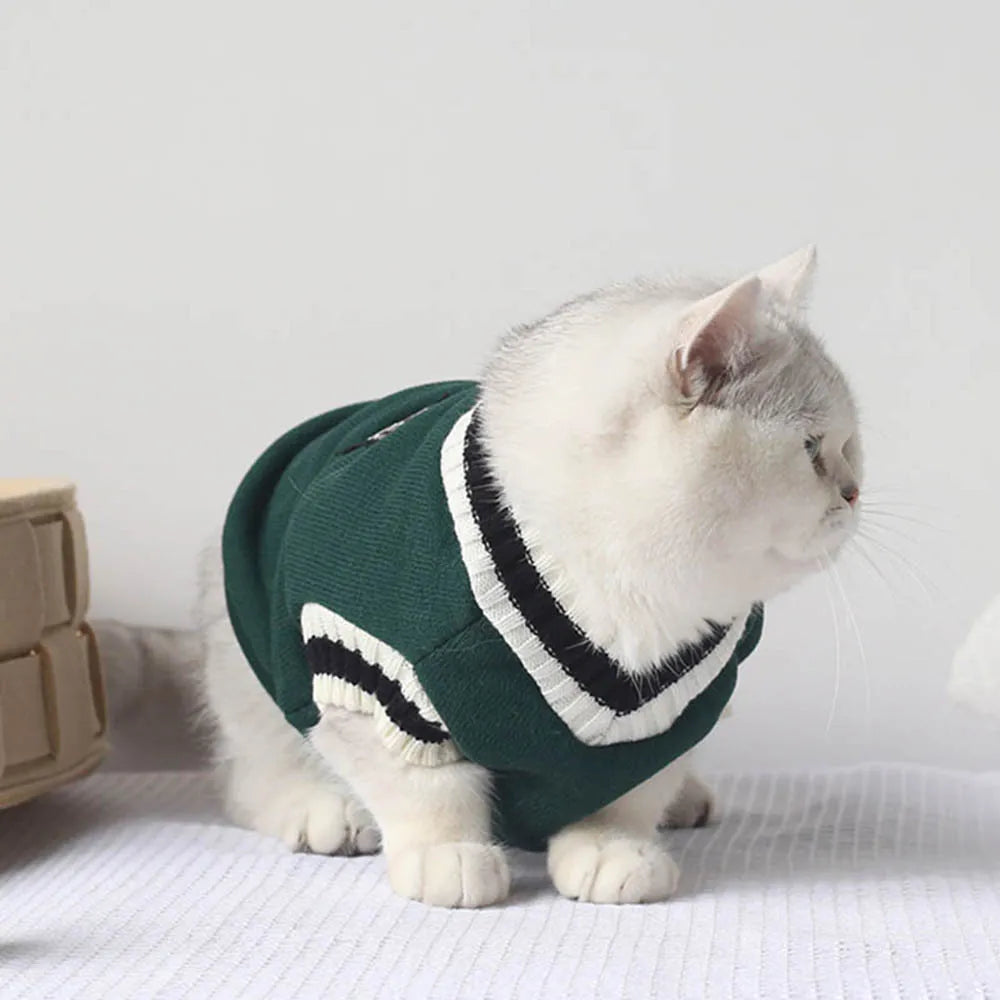 Warm Winter Cat Vest with Harness