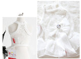 Summer Small Pet Wedding Dress Lace Skirt