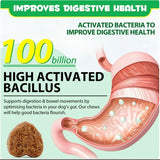 OEM Hot Sales Probiotics Chews For Pets Customized Shape For Digestive Health Pets Supplement Healthy Gut For Dogs