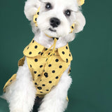 Dog Clothes Summer Thin Small Dog Cute Princess Dress Teddy Schnauzer Corgi Cat Pet Outfit