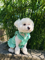 Creative Plaid Dog Dress Set