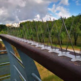 LOEK Pigeon Spikes, Bird Spikes,The Bird Thorn Bird Deterrent, Spikes Stainless Steel, Anti Bird Spikes, for Fence Roof Window Bird Deterrent Spikes, Bird Spikes for Pigeons and Other Small Birds