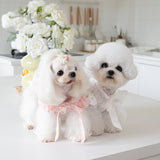 Tie Bow Collar Dress Pet Cat