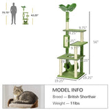Cattery, Cat Climbing Tower, Cat Tree, Amazon Shipping, WalMart Banned, No Weekend Delivery