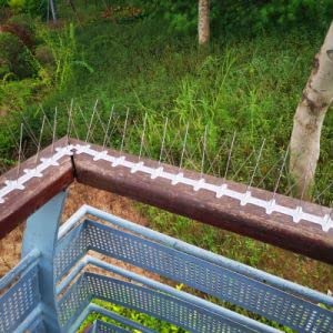 LOEK Pigeon Spikes, Bird Spikes,The Bird Thorn Bird Deterrent, Spikes Stainless Steel, Anti Bird Spikes, for Fence Roof Window Bird Deterrent Spikes, Bird Spikes for Pigeons and Other Small Birds