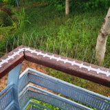 LOEK Pigeon Spikes, Bird Spikes,The Bird Thorn Bird Deterrent, Spikes Stainless Steel, Anti Bird Spikes, for Fence Roof Window Bird Deterrent Spikes, Bird Spikes for Pigeons and Other Small Birds