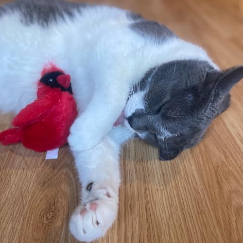 SPOT Song Birds Cat Toy- Touch Activated Singing Catnip Toy Mimics Real Bird Songs, Battery Operated Toy Satisfies Cat's Natural Urge to Hunt - One 5" Song Bird, Assorted Colors