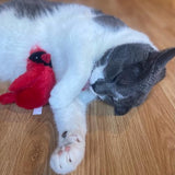 SPOT Song Birds Cat Toy- Touch Activated Singing Catnip Toy Mimics Real Bird Songs, Battery Operated Toy Satisfies Cat's Natural Urge to Hunt - One 5" Song Bird, Assorted Colors