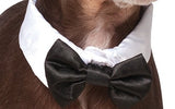 Rubie's Pet Bowtie and Cuff Set, Small/Medium