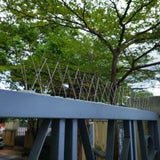 LOEK Pigeon Spikes, Bird Spikes,The Bird Thorn Bird Deterrent, Spikes Stainless Steel, Anti Bird Spikes, for Fence Roof Window Bird Deterrent Spikes, Bird Spikes for Pigeons and Other Small Birds