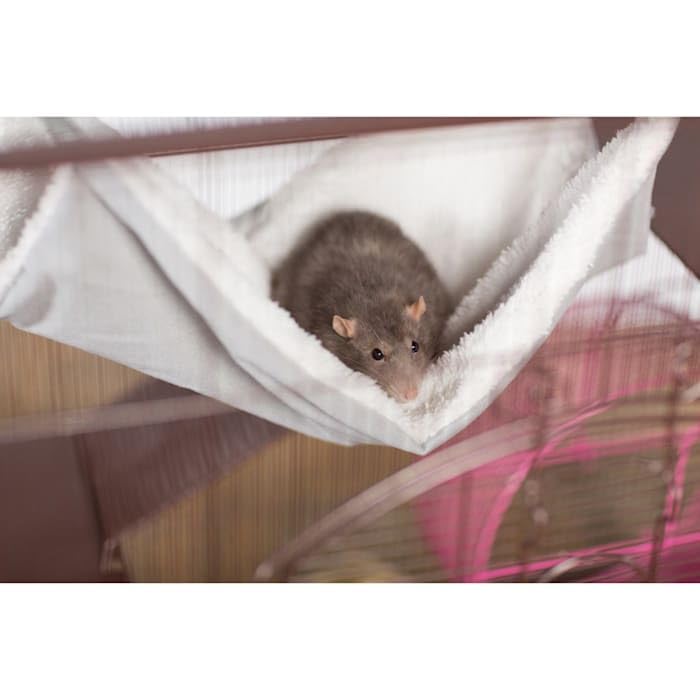 Prevue Pet Products Replacement Hammock for 7500 & 7501 cat Cages, Grey
