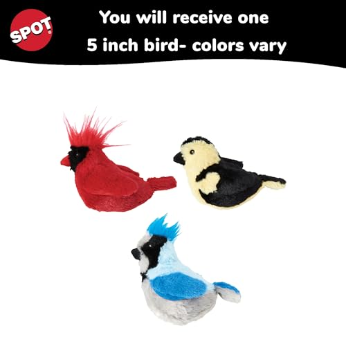 SPOT Song Birds Cat Toy- Touch Activated Singing Catnip Toy Mimics Real Bird Songs, Battery Operated Toy Satisfies Cat's Natural Urge to Hunt - One 5" Song Bird, Assorted Colors