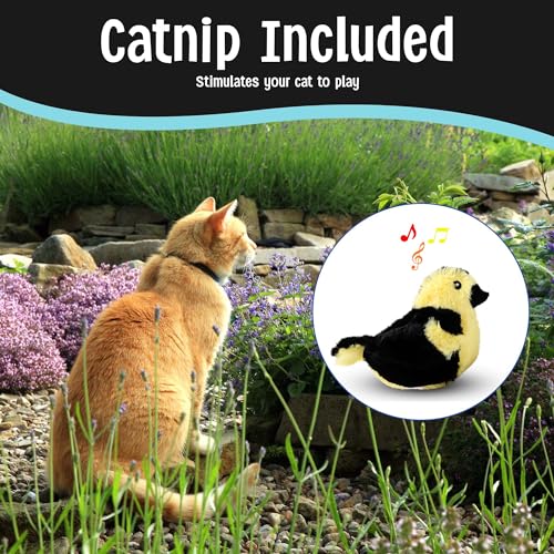 SPOT Song Birds Cat Toy- Touch Activated Singing Catnip Toy Mimics Real Bird Songs, Battery Operated Toy Satisfies Cat's Natural Urge to Hunt - One 5" Song Bird, Assorted Colors