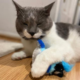 SPOT Song Birds Cat Toy- Touch Activated Singing Catnip Toy Mimics Real Bird Songs, Battery Operated Toy Satisfies Cat's Natural Urge to Hunt - One 5" Song Bird, Assorted Colors