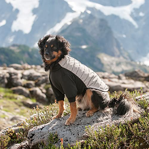 Furhaven Water-Repellent Small Dog Coat, Washable & Reflective w/ Leash Access & Stretch Fabric - Pro-Fit Active Jacket - Chrome, Small