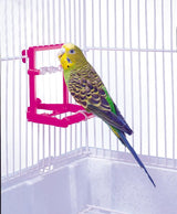 Penn-Plax Bird Life - Landing Perch with Mirror and Beads - Perfect for Parakeets, Finches, and Other Small Birds (BA504)