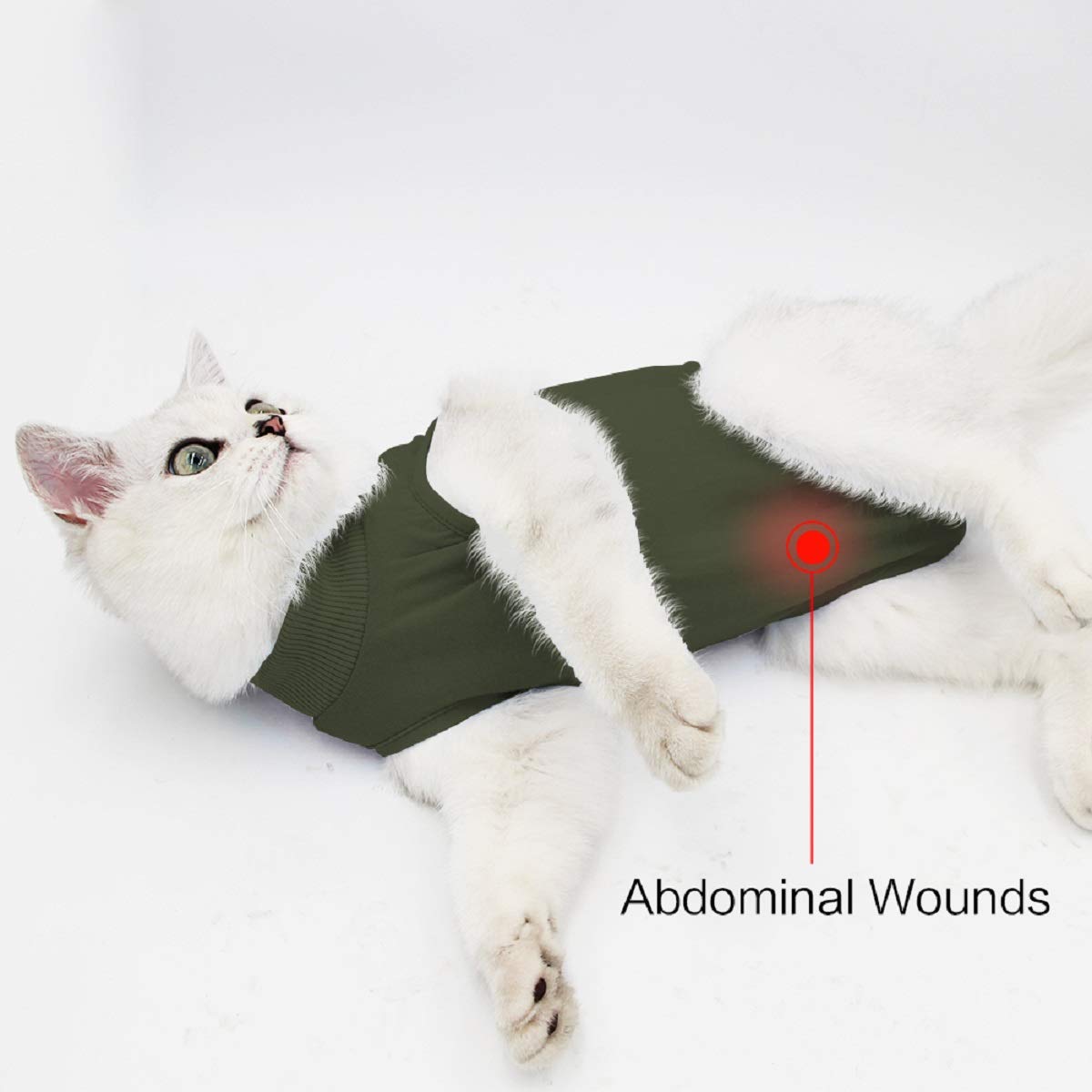 oUUoNNo Cat Wound Surgery Recovery Suit for Abdominal Wounds or Skin Diseases, After Surgery Wear, Pajama Suit, E-Collar Alternative for Cats (M, ArmyGreen)