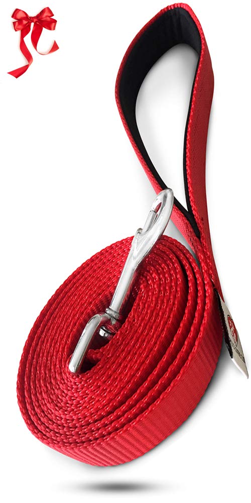 Dog Leash for Medium, Large and Small Dogs - 6 Foot Dog Leashes for Training and Daily Walks - Durable Sizes in Lightweight and Heavy Duty for Small and Large Breeds (1-Layer, Red)