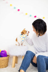 Pearhead Jelly Bean Dog Bandana, Easter Pet Scarf, Slip-On Collar Accessory for Small Medium Pets, Cute Puppy Costume, Spring Seasonal Pet Apparel