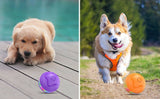 Interactive Dog Toys Ball, Automatic Rolling Toy, Lively Pet Ball For Medium ,Large Dogs To Relieve Boredom, Activated Automatic Motion Dog Balls Toy With LED Flash, USB Rechargeable Orange Purple