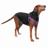 Guardian Gear 2 Step Pet Harness