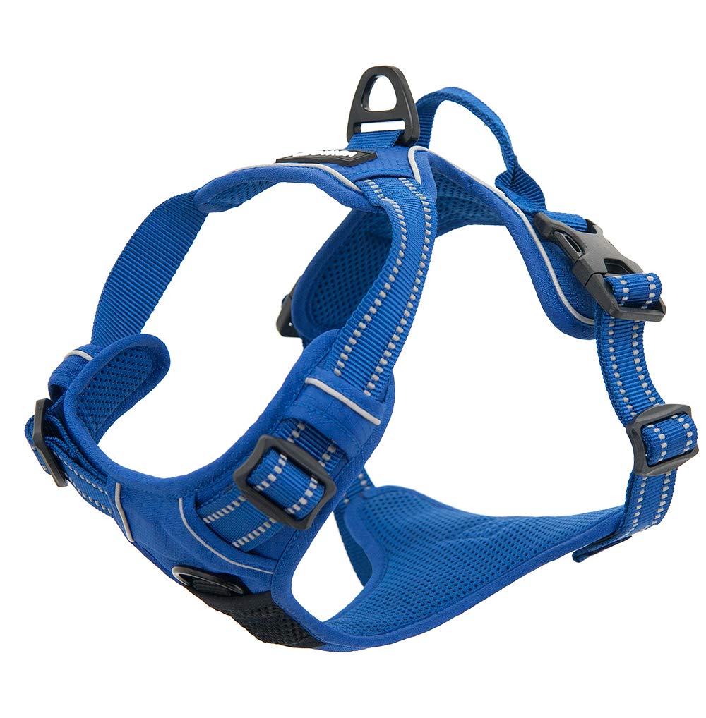 Voyager No Pull Dog Harness for Large Dogs, Dual Leash Attachments, Adjustable Soft but Strong Pet Harness with 3M Reflective Technology, Royal Blue Lattice Nylon, M (Chest: 20-25")