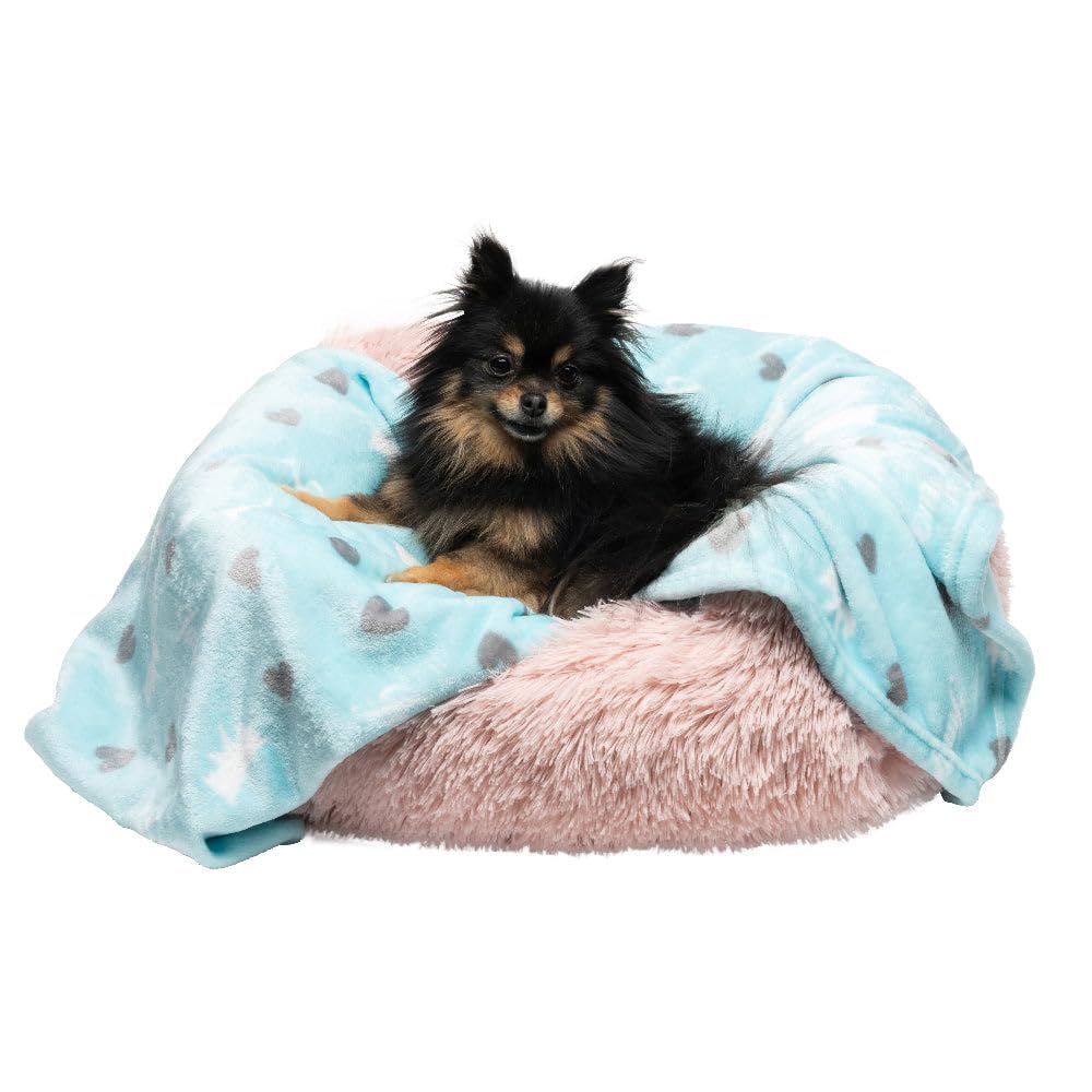 Juicy Couture Plush Flannel Pet Throw Blanket, Turquoise Juicy Scottie Hearts