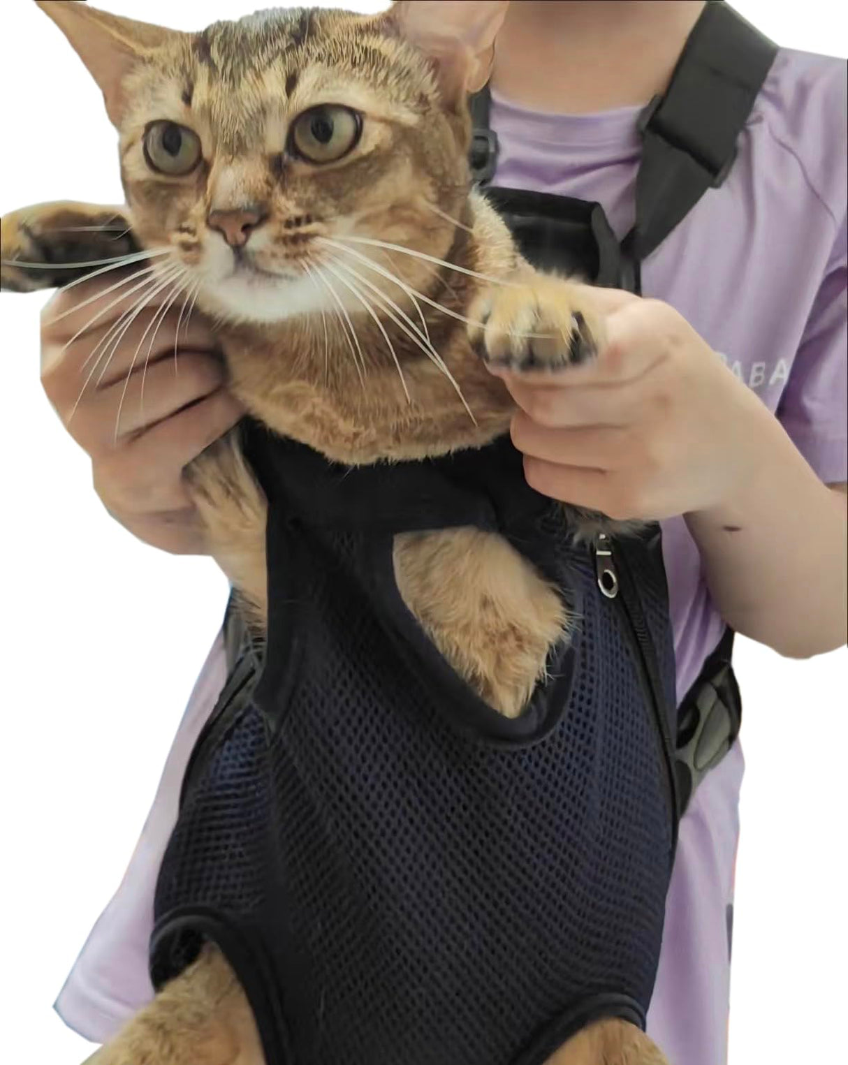 Pet Carrier Backpack - Adjustable Pet Front Cat Dog Carrier Backpack Travel Bag,Legs Out,Easy-Fit for Traveling Hiking Camping for Small Medium Dogs (Red, Large)